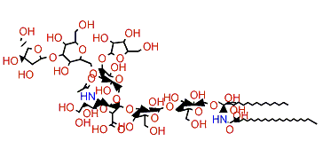 Asterinaganglioside A